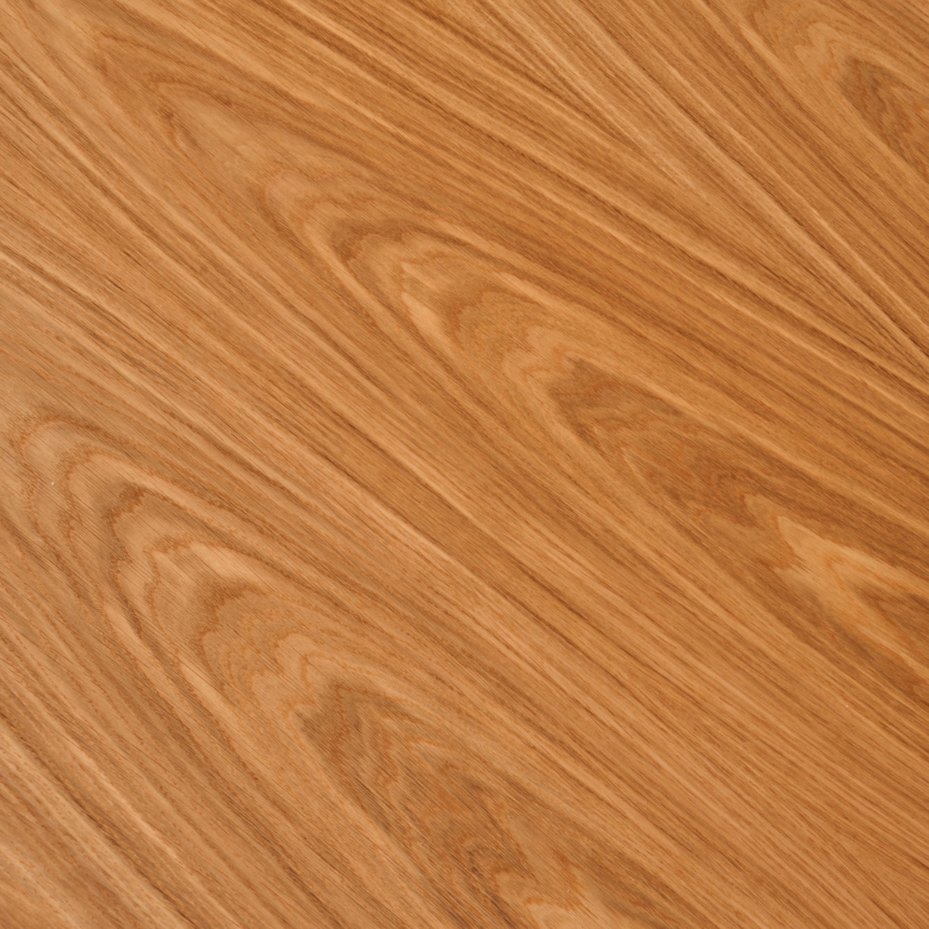 Ocaliptus Baba Ayak Masa Sabit 100x100